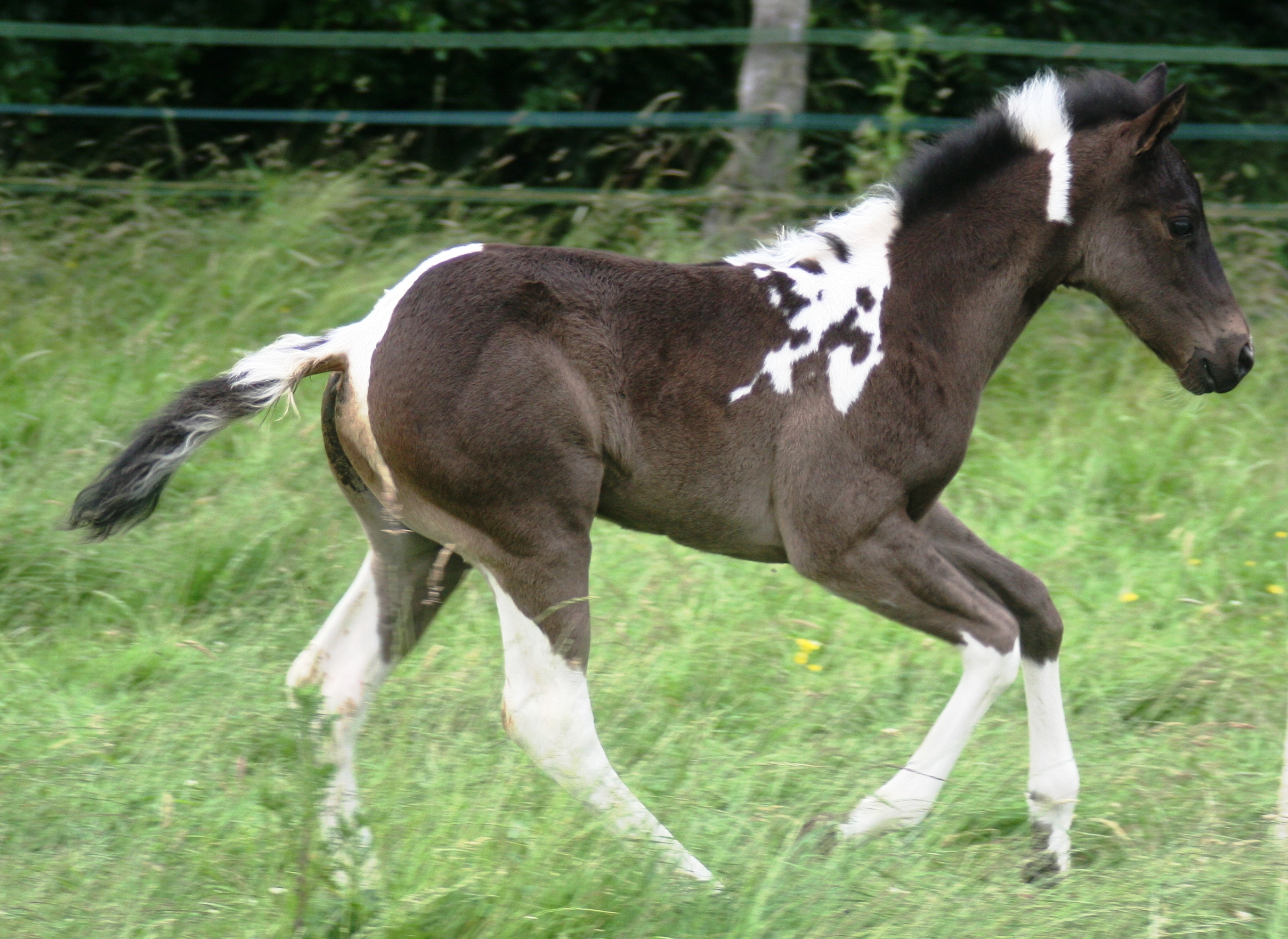 14.6.13 ganz rechts g